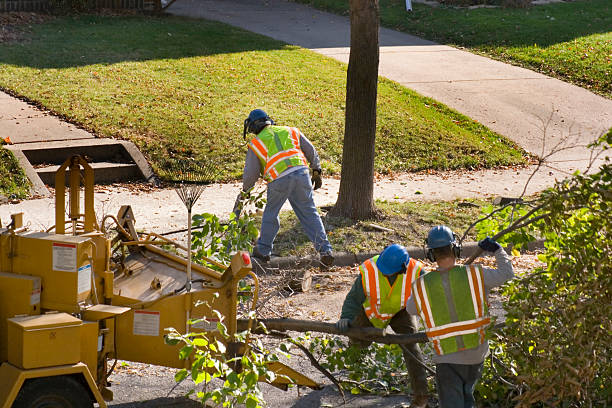 Lawn Watering Services in Footville, WI